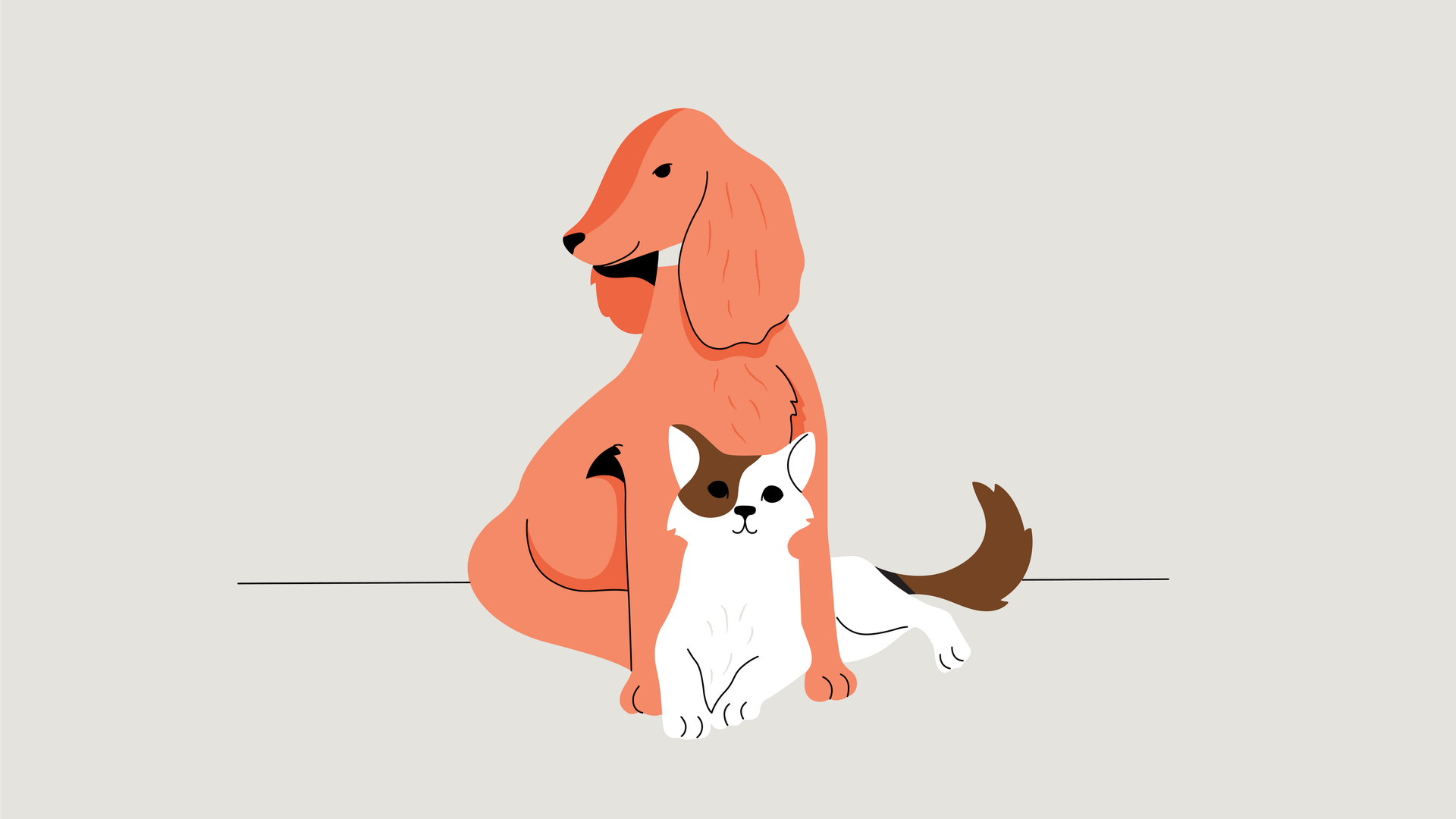 Boehringer Dog Cat Illustration